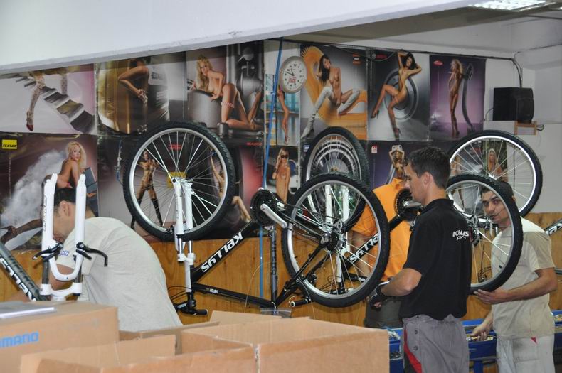 Постеры Kellys повышающие не только трудоспособность