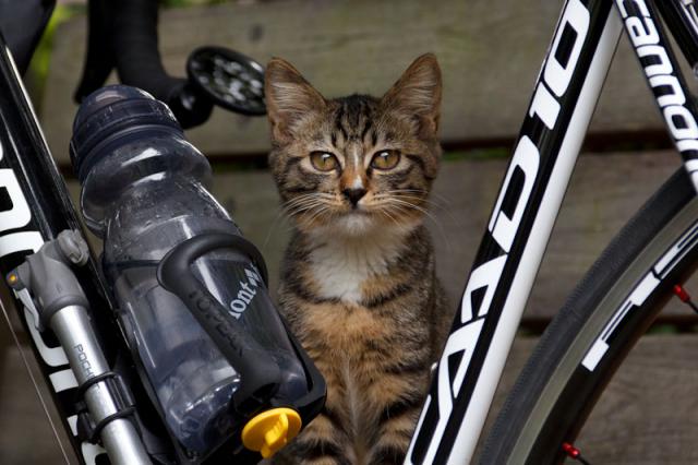 Самый лучший веломастер