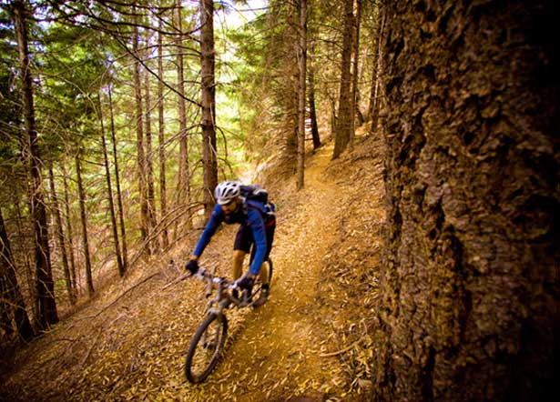 Пять правил покатушек по трейлам Пять правил покатушек по трейлам