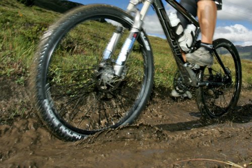 Мышцы под воздействием тренировок