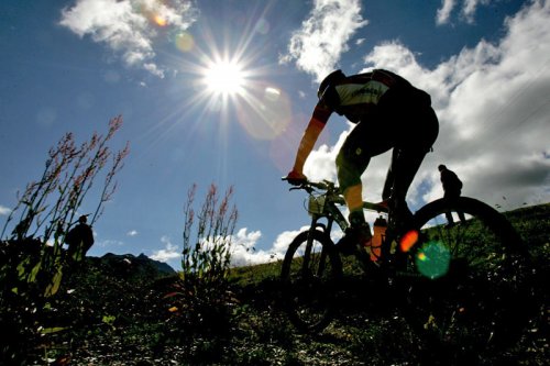 Мышцы под воздействием тренировок