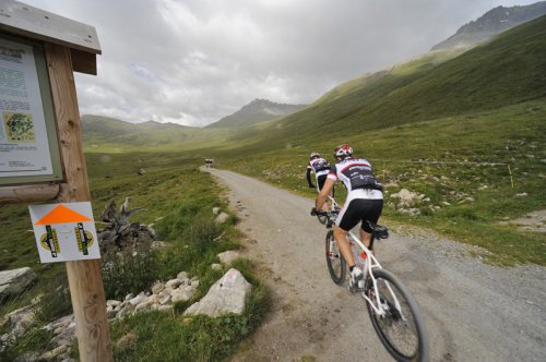 Мышцы под воздействием тренировок