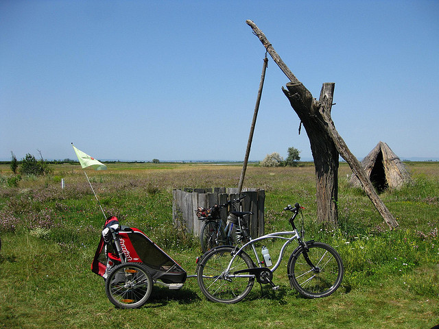 Chariot изменяет имя на Thule