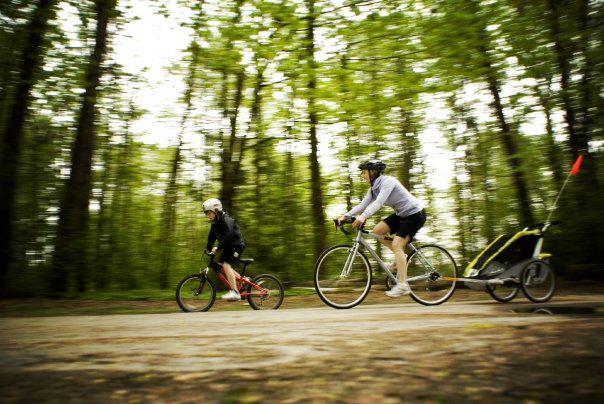 Chariot изменяет имя на Thule