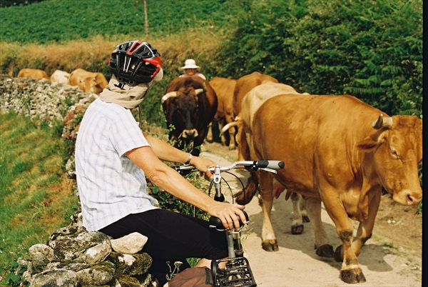 В Испании продано велосипедов больше чем автомобилей