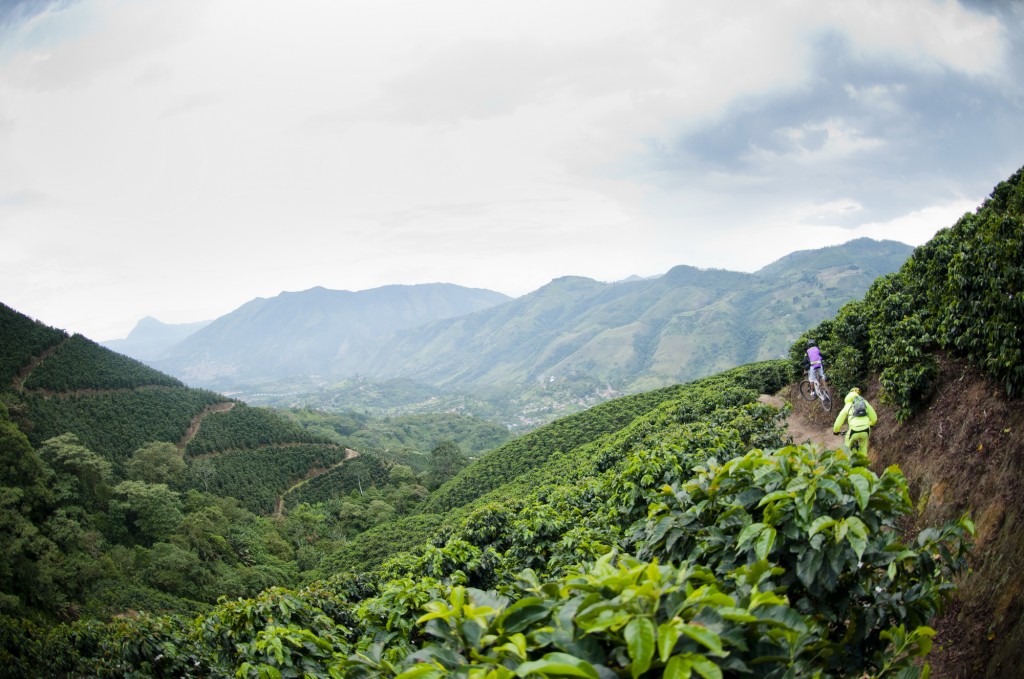 Выбор двухподвеса Specialized Выбор двухподвеса Specialized