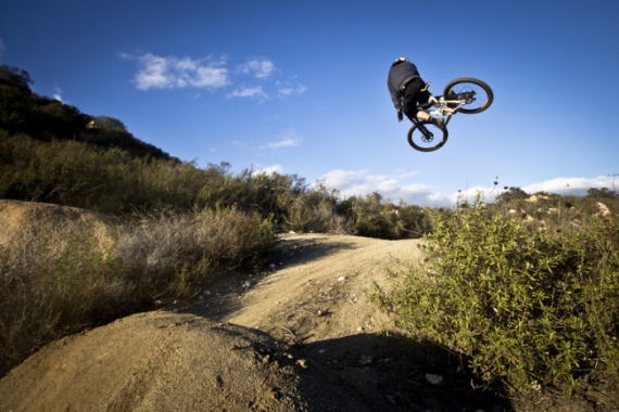 Manitou Dorado Expert