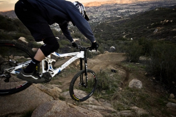 Manitou Dorado Expert