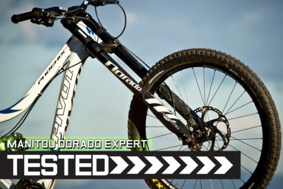 Manitou Dorado Expert