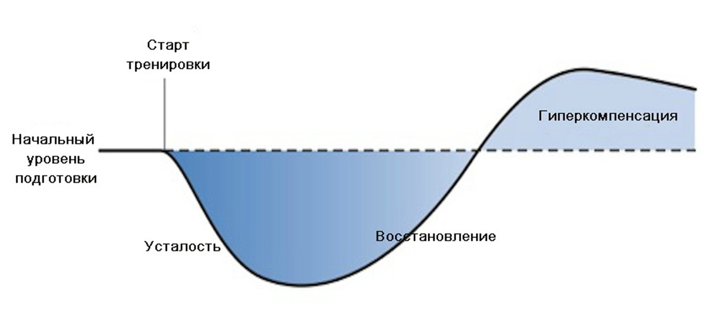 Эта диаграмма показывает характер тренировочной нагрузки: как она влияет на физическое состояние в контексте усталости, после которой, благодаря восстановительным процедурам, наблюдается положительная реакция организма на нагрузку, что приводит к более высокому уровню физической подготовки.